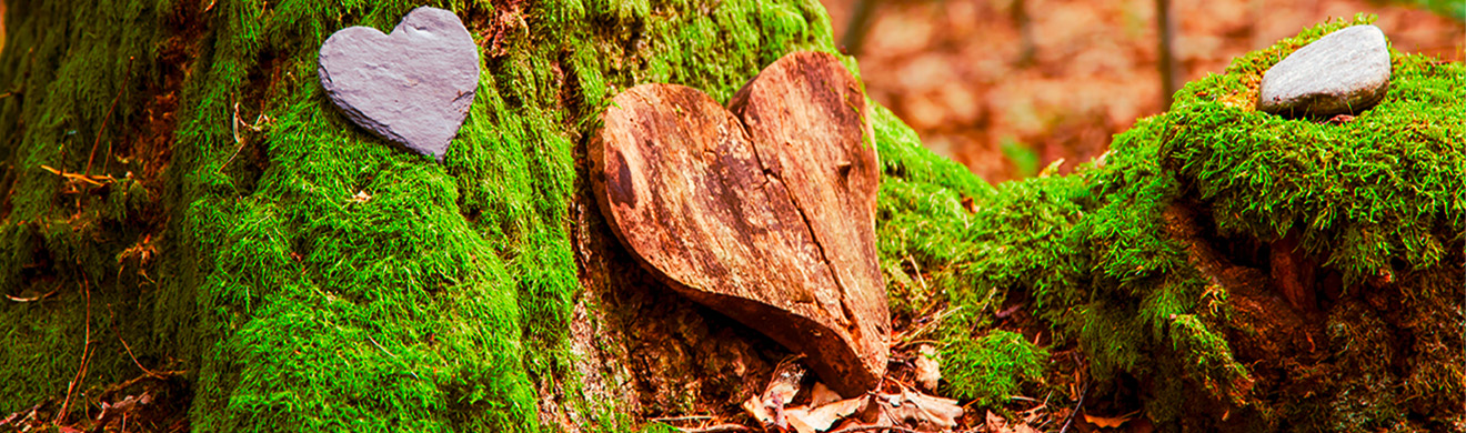 Holzherz liegt auf Moos am Waldboden – Sinnbild für Naturbestattung und stille Erinnerung in der Natur.
