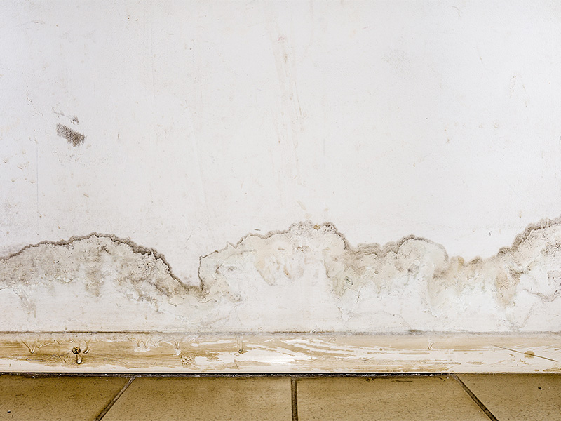 Feuchte Wand mit abblätternder Farbe und sichtbarem Schimmelbefall als Ausgangspunkt für eine fachgerechte Schimmelpilzsanierung.
