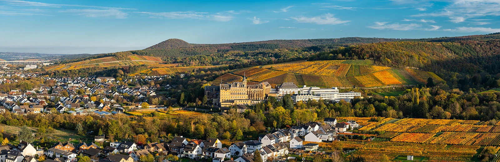 Panoramablick auf herbstliche Weinberge im Ahrtal bei Ahrweiler bei Sonnenschein entlang des Rotweinwanderwegs