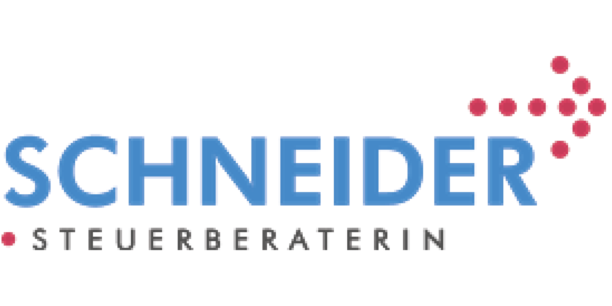 Logo der Steuerberaterin Schneider in Niederzissen f&uuml;r professionelle Steuerberatung und kompetente steuerliche Betreuung.
