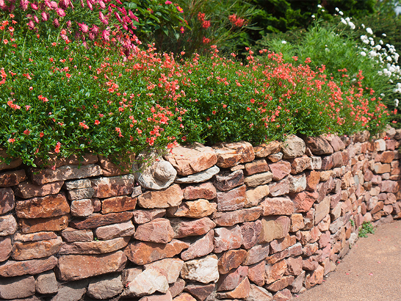Natursteinmauer in Altenahr als dekorative Grundstücksbegrenzung mit blühenden Pflanzen und grüner Gartengestaltung.